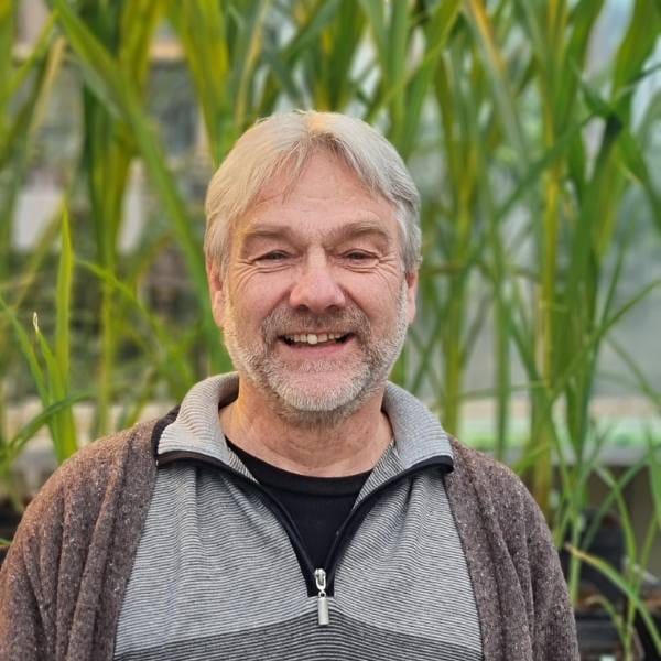 A middle-aged man with grey hair and a beard is smiling while standing in front of tall green plants, reflecting his passion for Ecophysiology and Multi-Stress Research to improve food security.